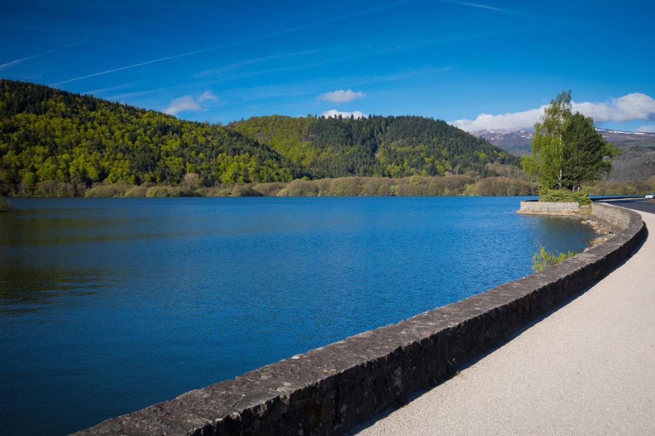 La Dormeuse Du Val Villa Chambon-sur-Lac Exterior foto