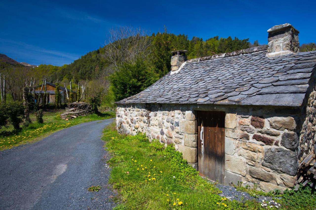 La Dormeuse Du Val Villa Chambon-sur-Lac Exterior foto
