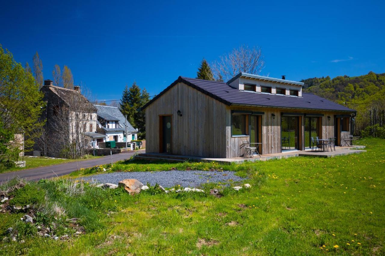 La Dormeuse Du Val Villa Chambon-sur-Lac Exterior foto